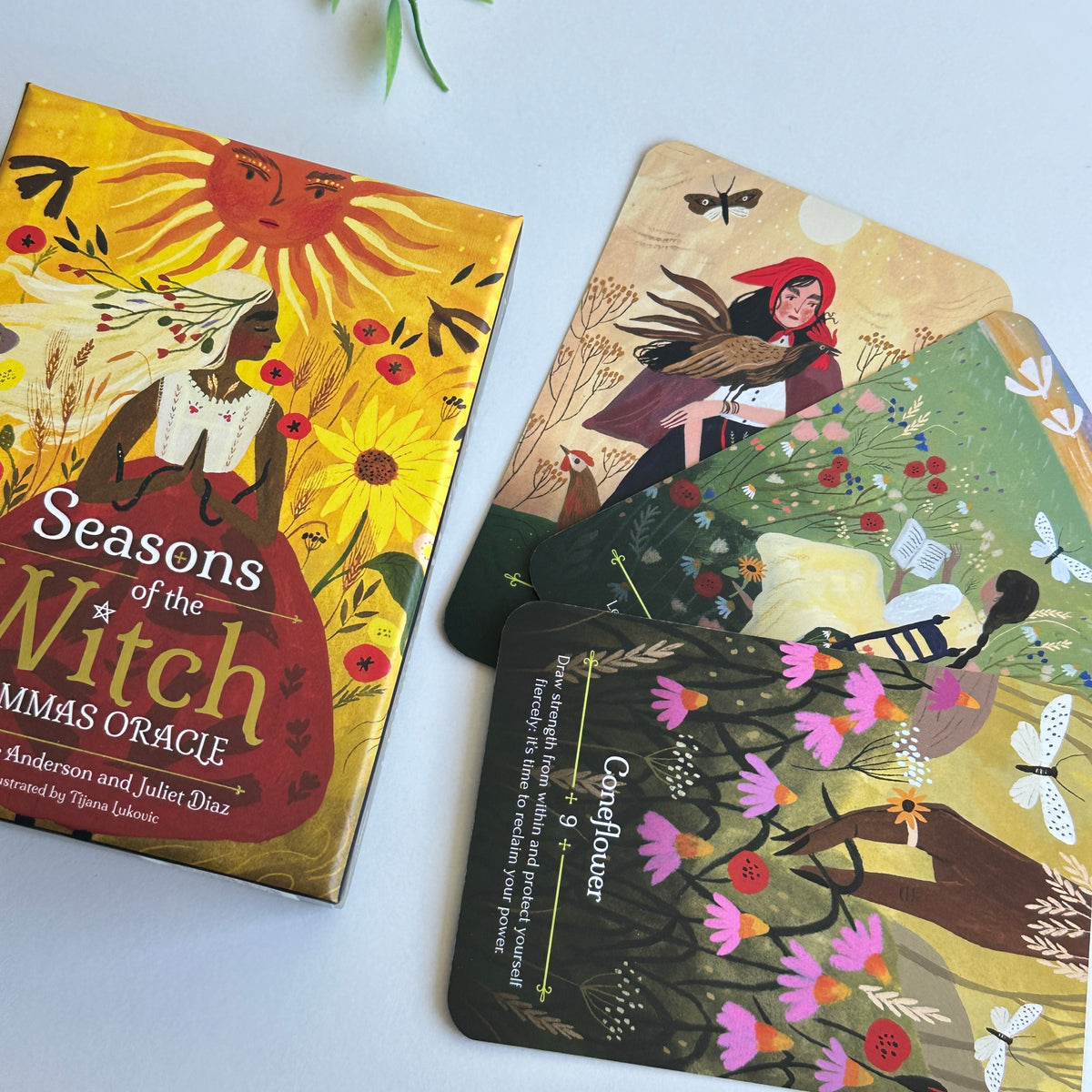 Seasons Of The Witch Lammas Oracle Cards Lorraine Anderson