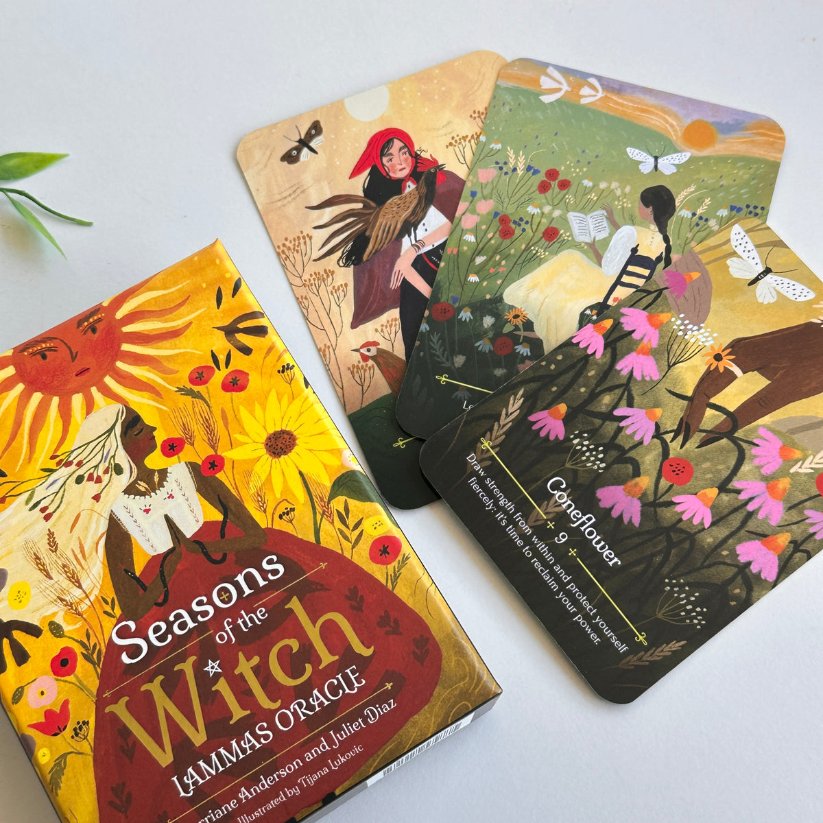 Seasons Of The Witch Lammas Oracle Cards Lorraine Anderson