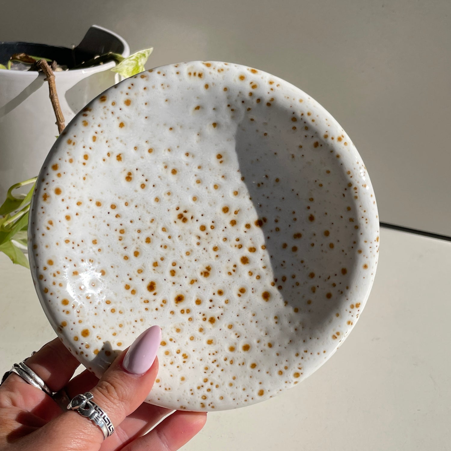 Massimo Ceramic Dish KW3501