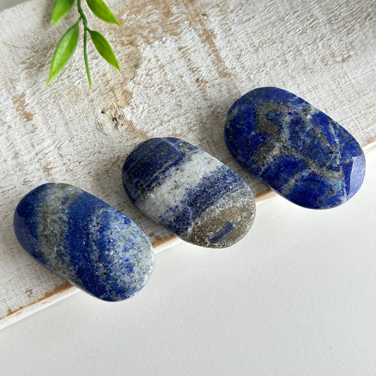 Lapis Lazuli Palmstone Medium