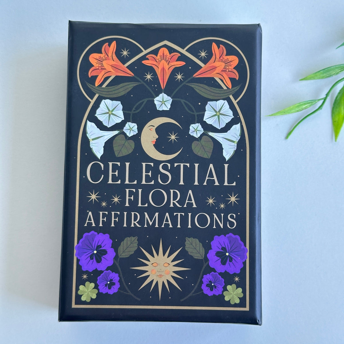 Celestial Flora Affirmation Cards