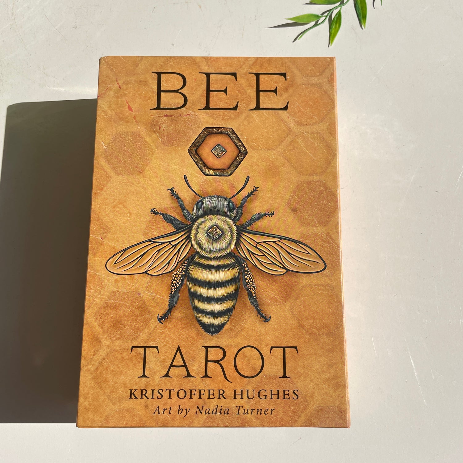 Bee Tarot Kristoffer Hughes