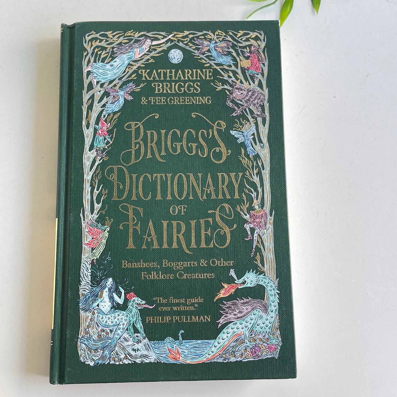 Briggs Dictionary Of Fairys Phillip Pullman