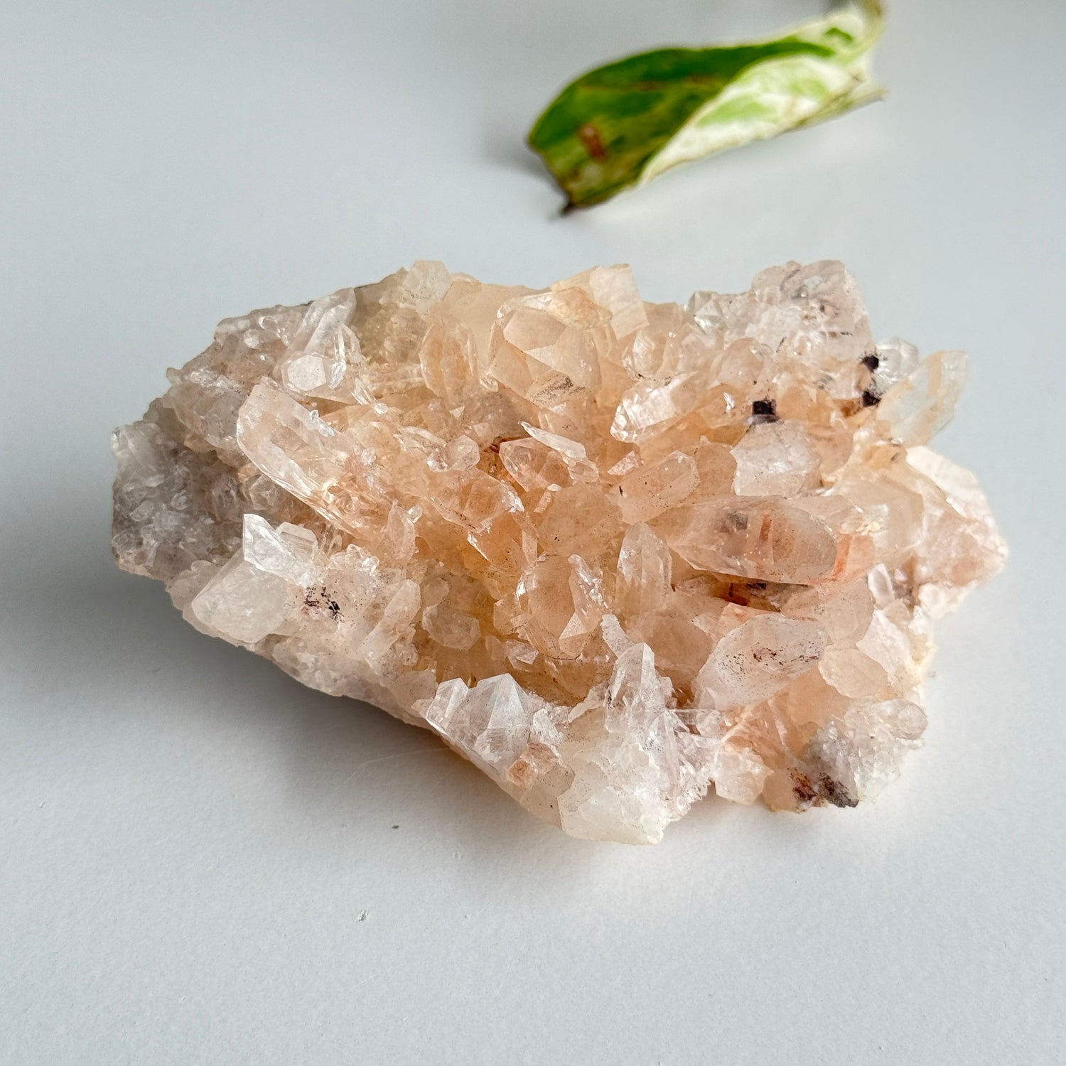 Pink Himalayan Quartz Cluster 186g