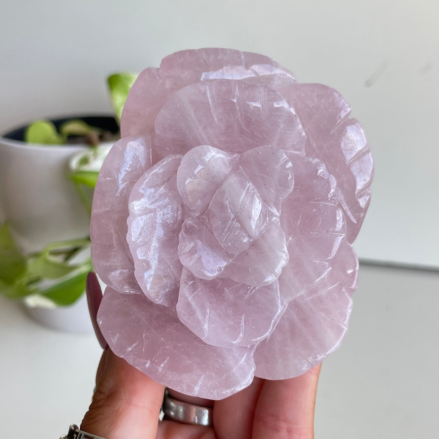 Rose Quartz Flower 8.3cm