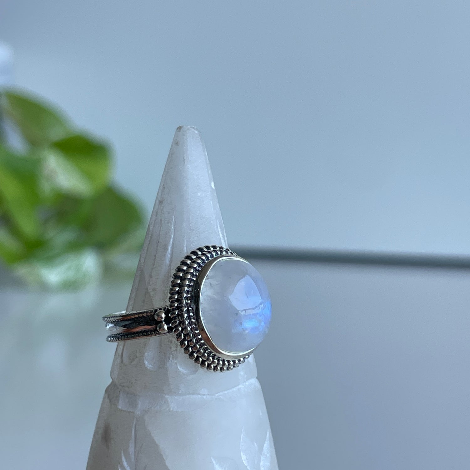 Moonstone Oval Ring R4869