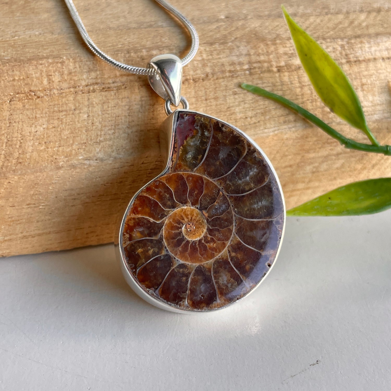 Ammonite Pendant