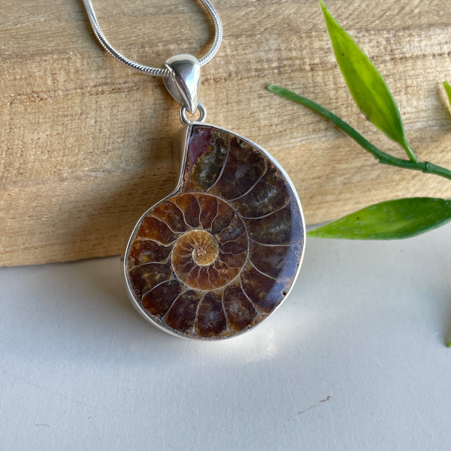 Ammonite Pendant