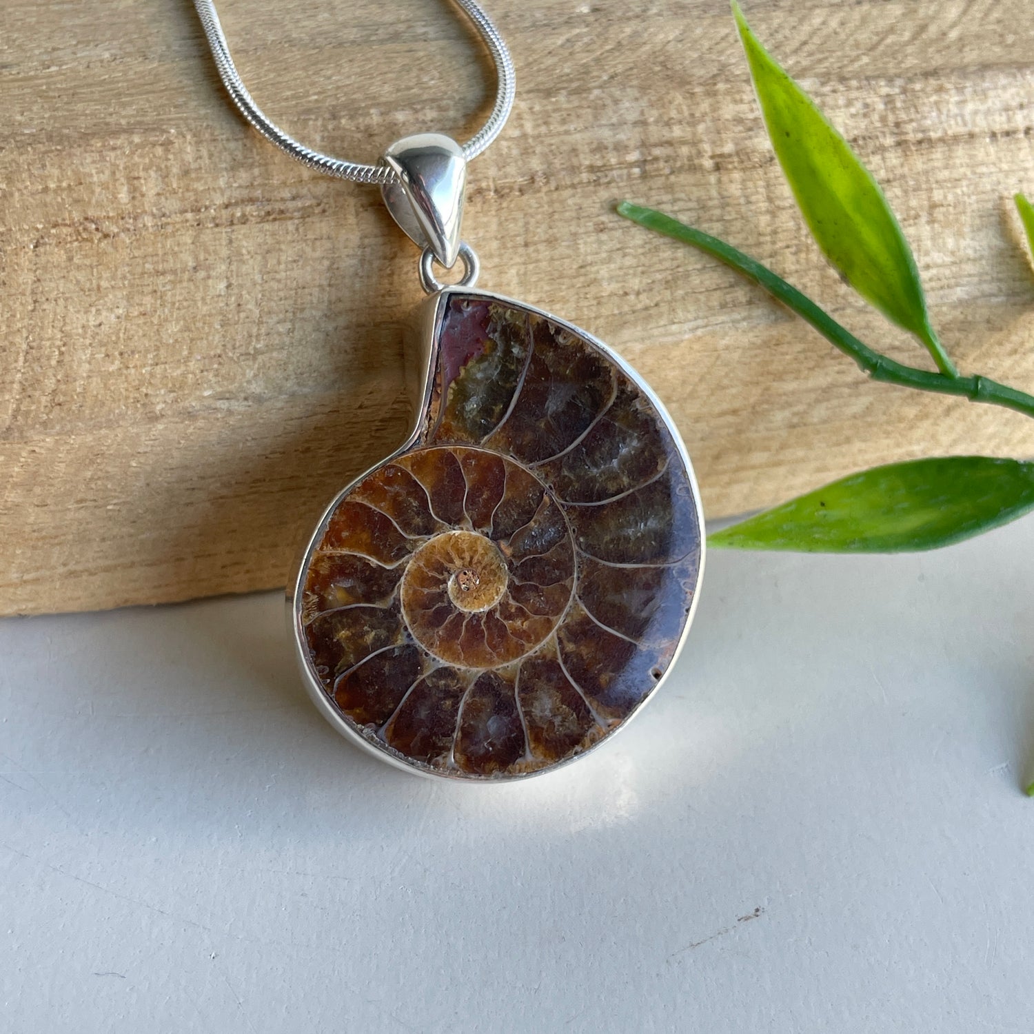 Ammonite Pendant