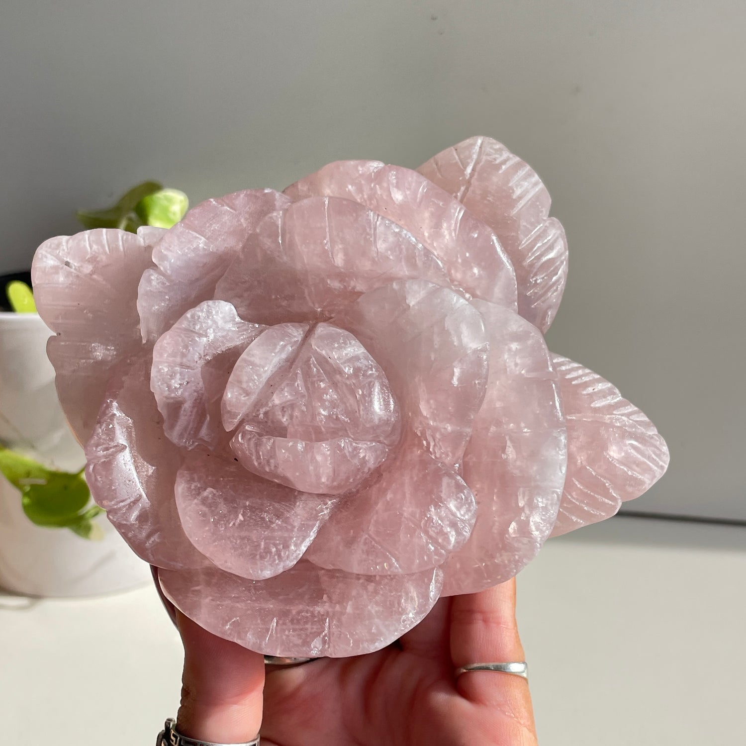 Rose Quartz Flower 15cm