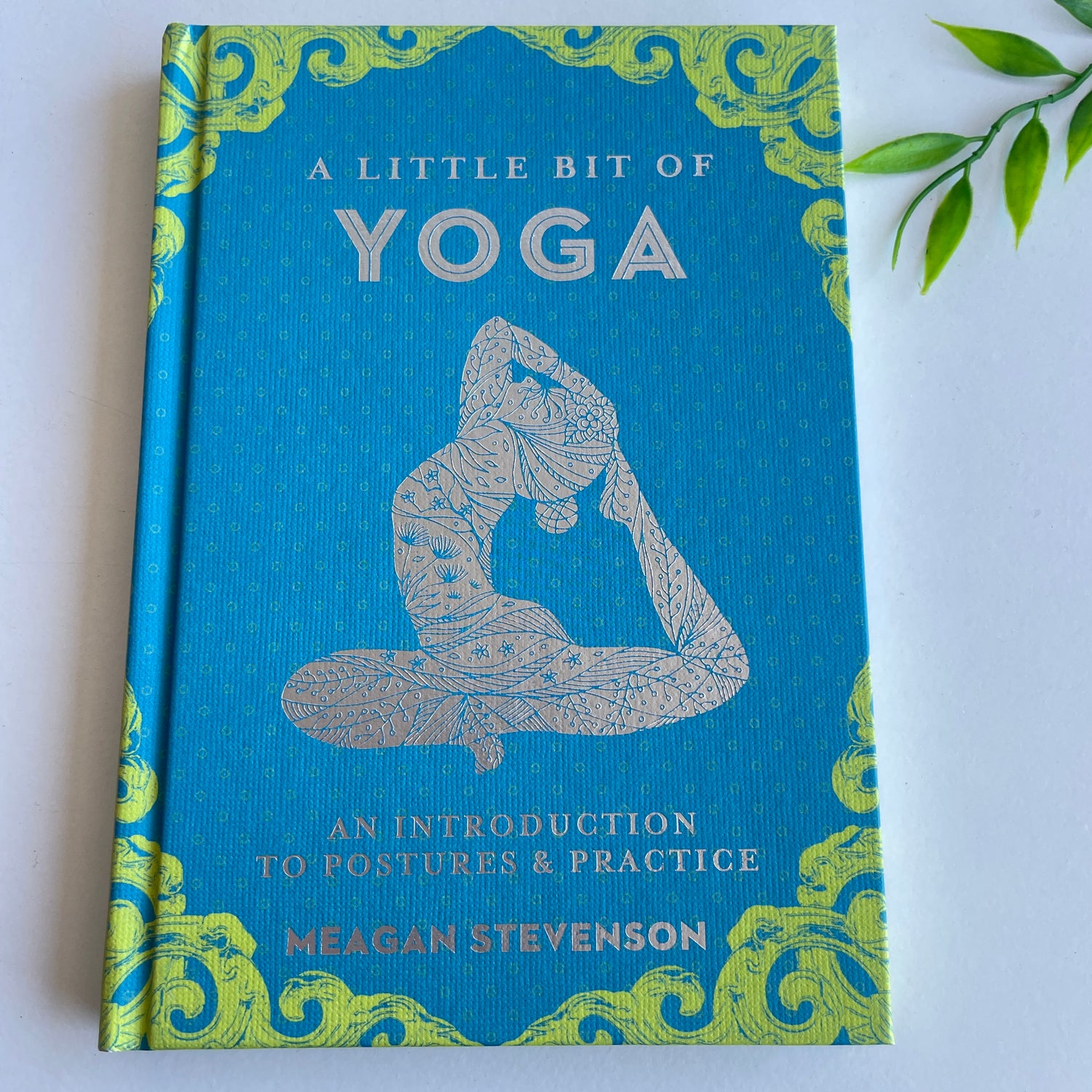A Little Bit Of Yoga Meagan Stevenson