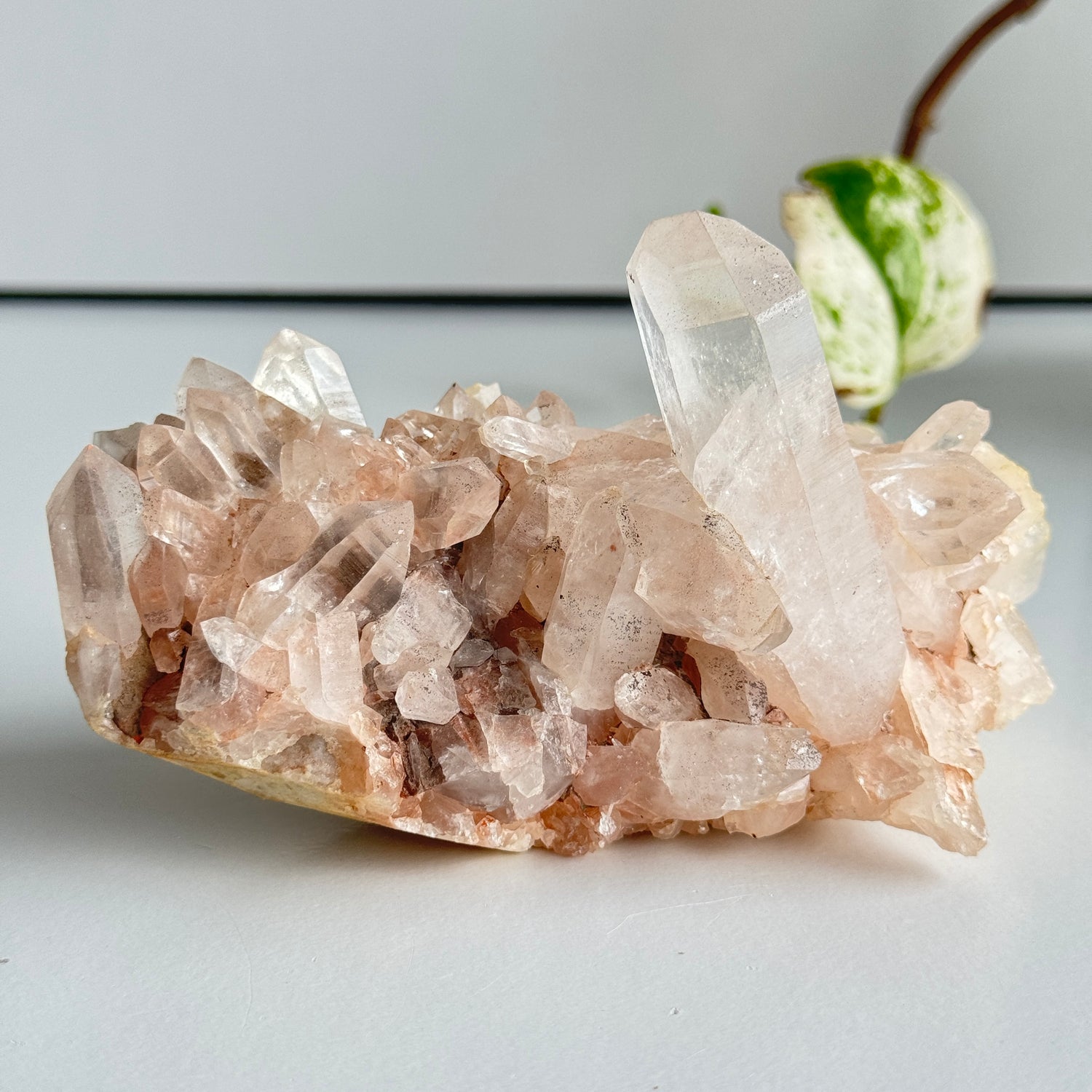 Pink Himalayan Quartz Cluster 468g