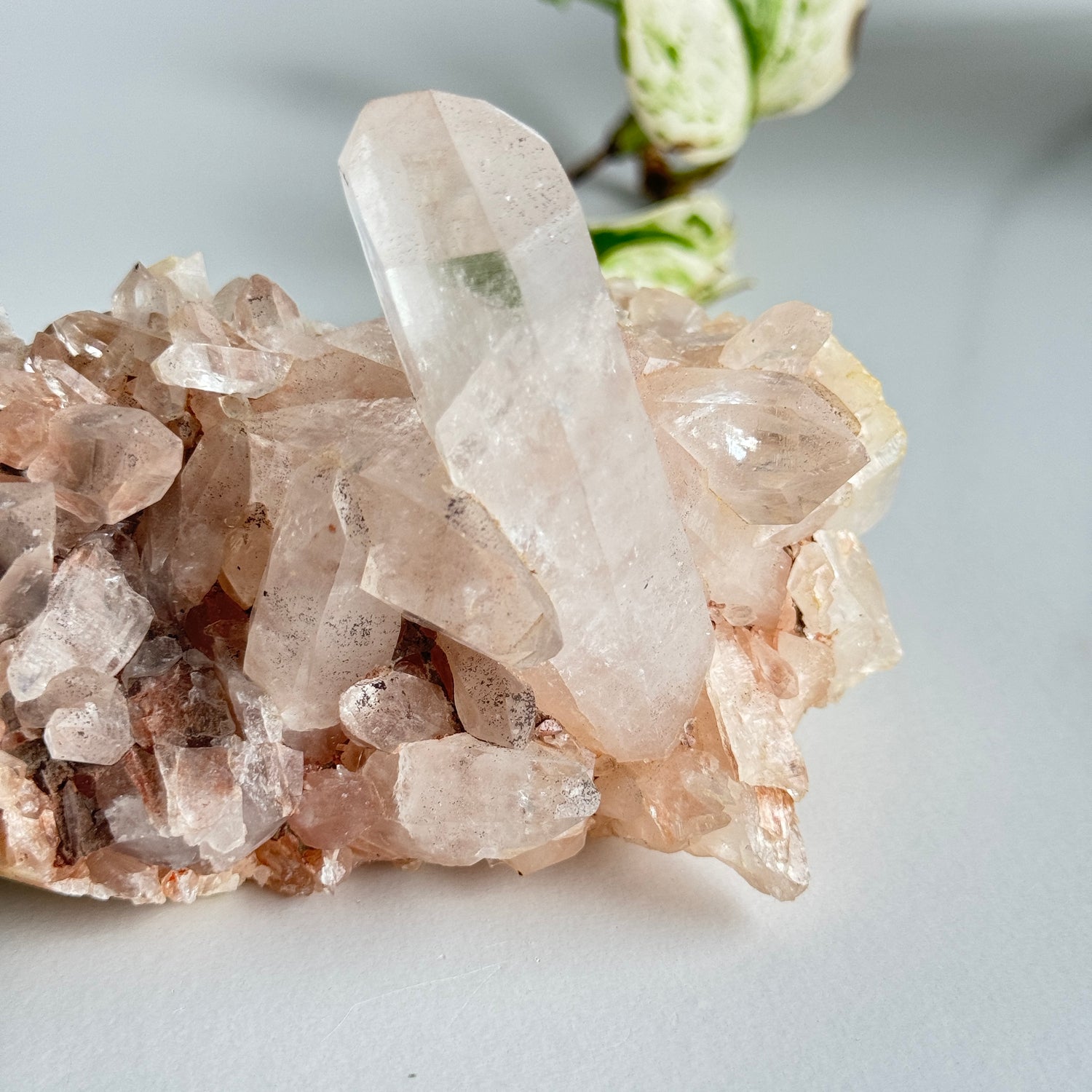 Pink Himalayan Quartz Cluster 468g
