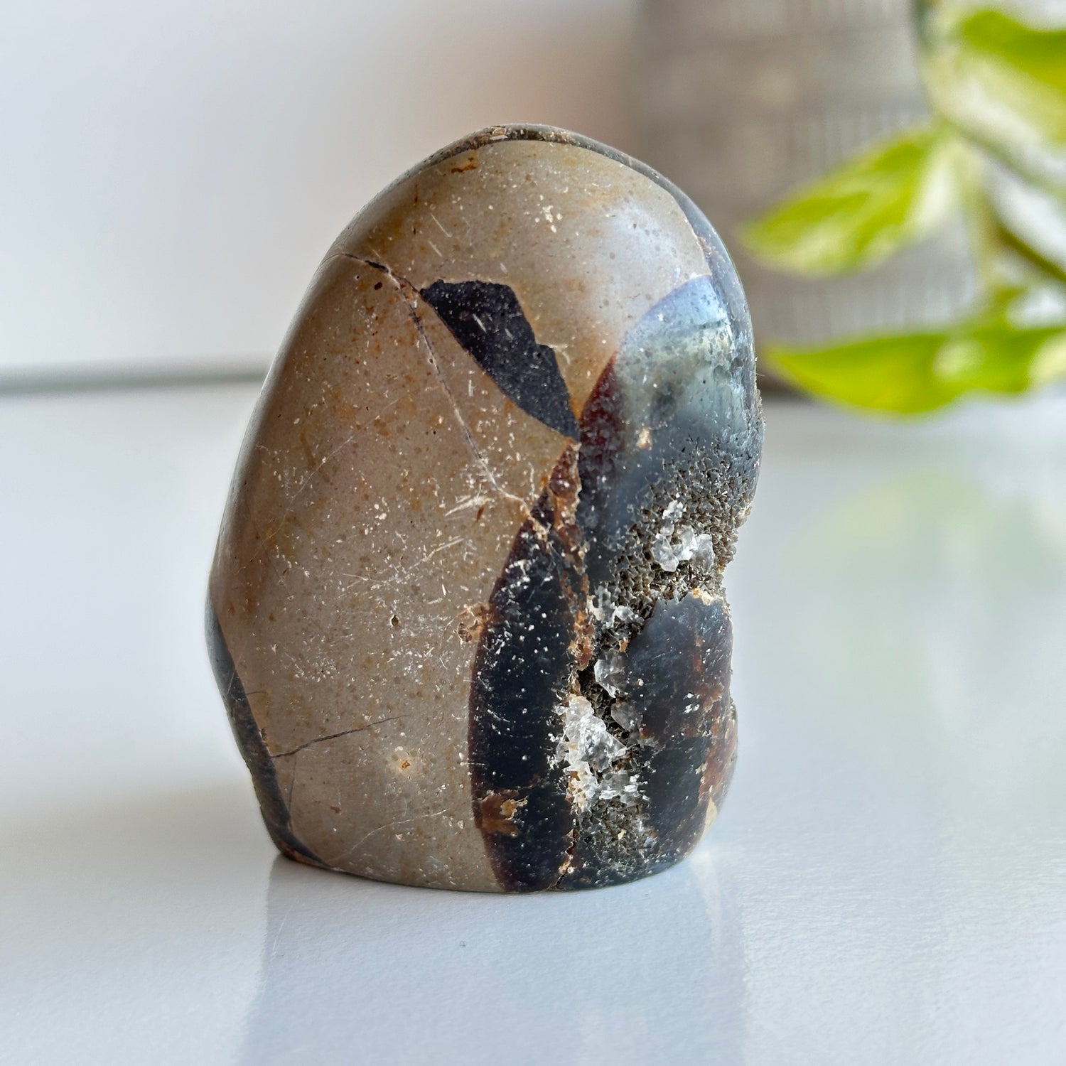 Septarian Freeform 7.6cm