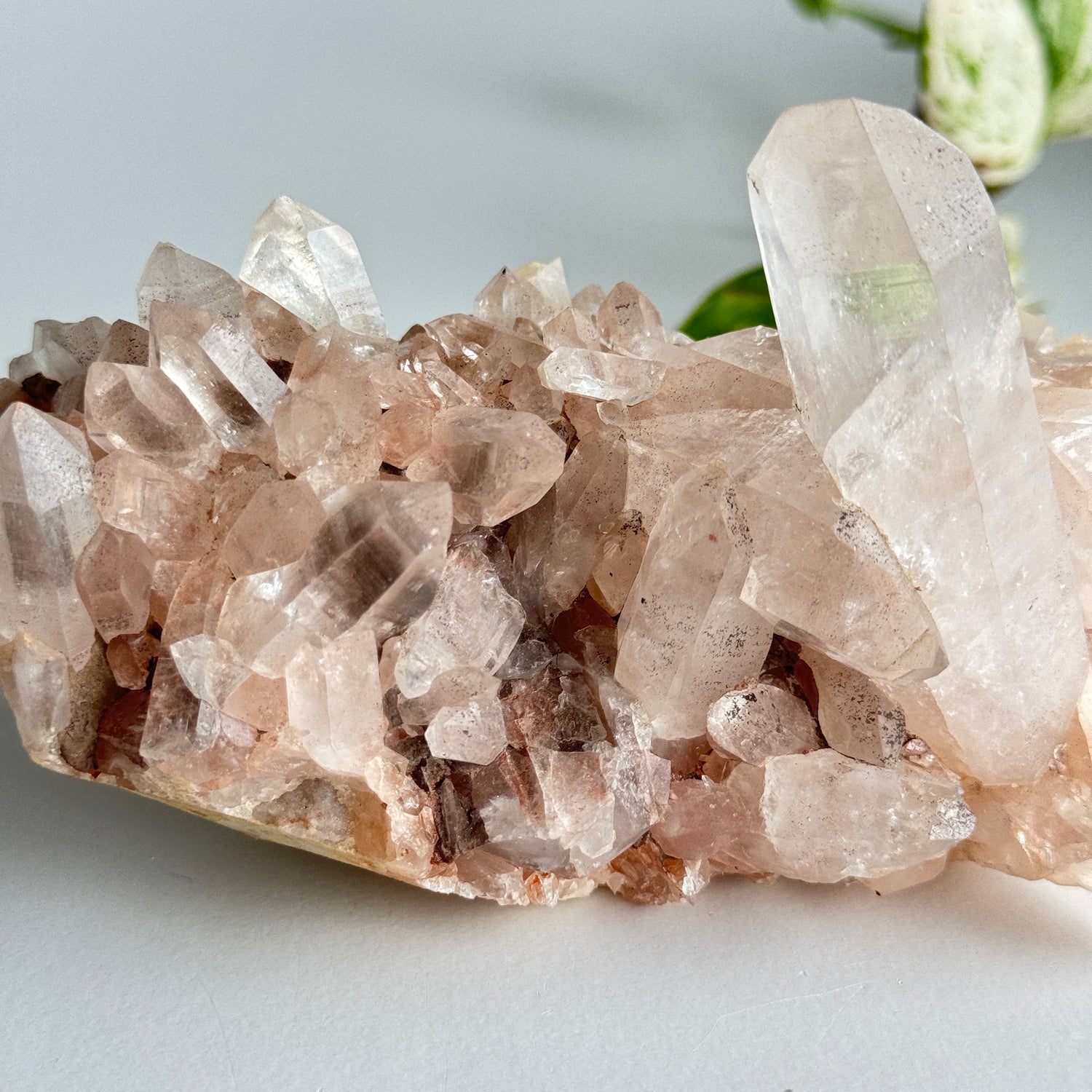 Pink Himalayan Quartz Cluster 468g