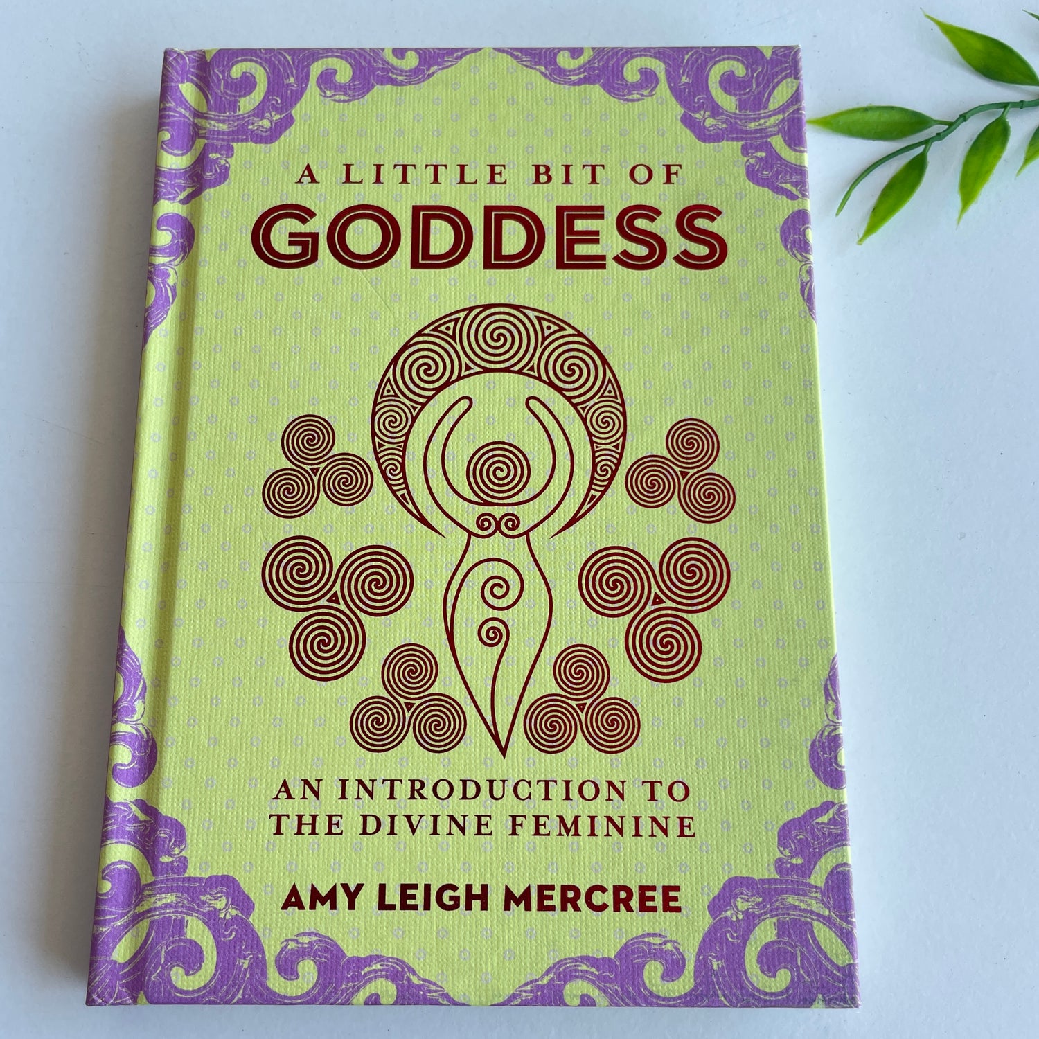 A Little Bit Of Goddess Amy Leigh Mercree