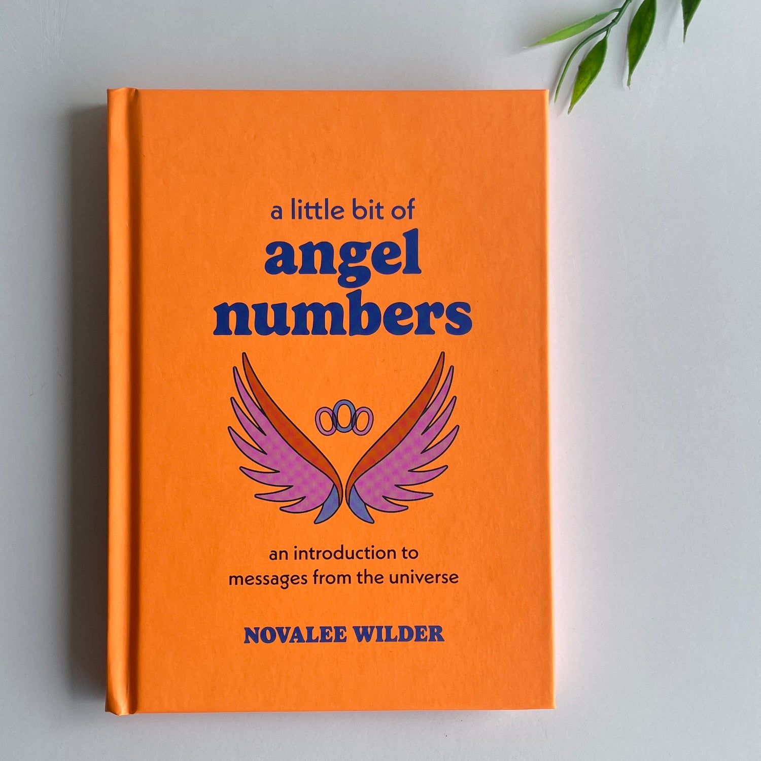 A Little Bit Of Angel Numbers Novalee Wilder