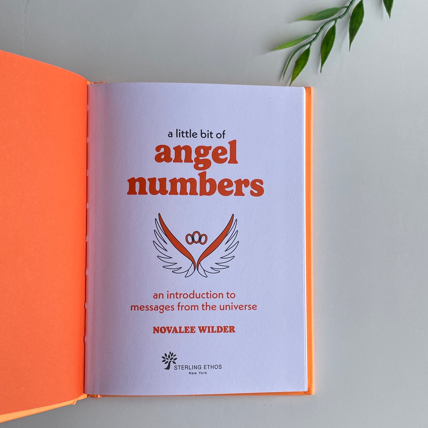 A Little Bit Of Angel Numbers Novalee Wilder