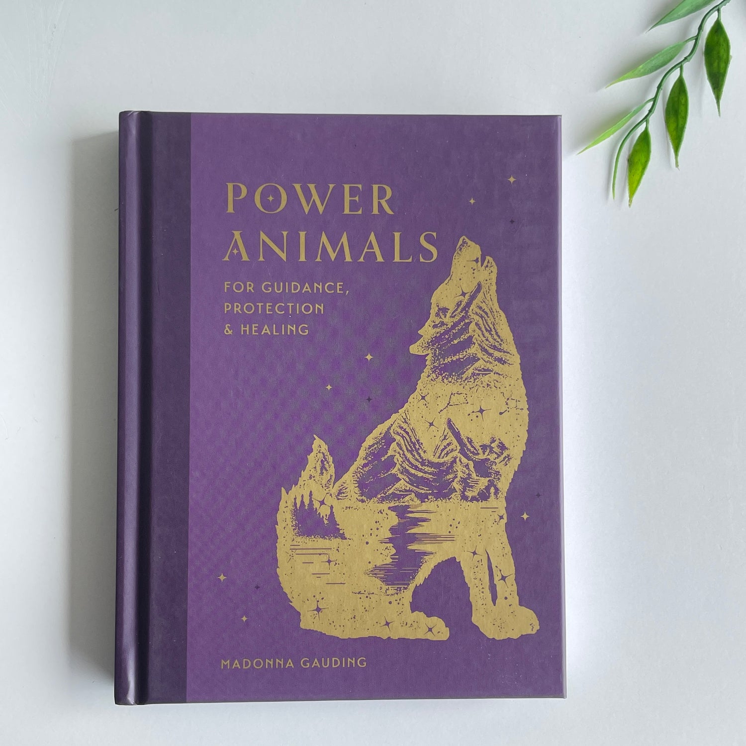 Power Animals Madonna Gauding