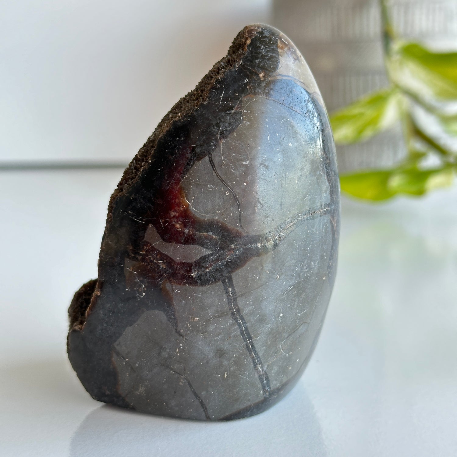 Septarian Freeform 9.2cm