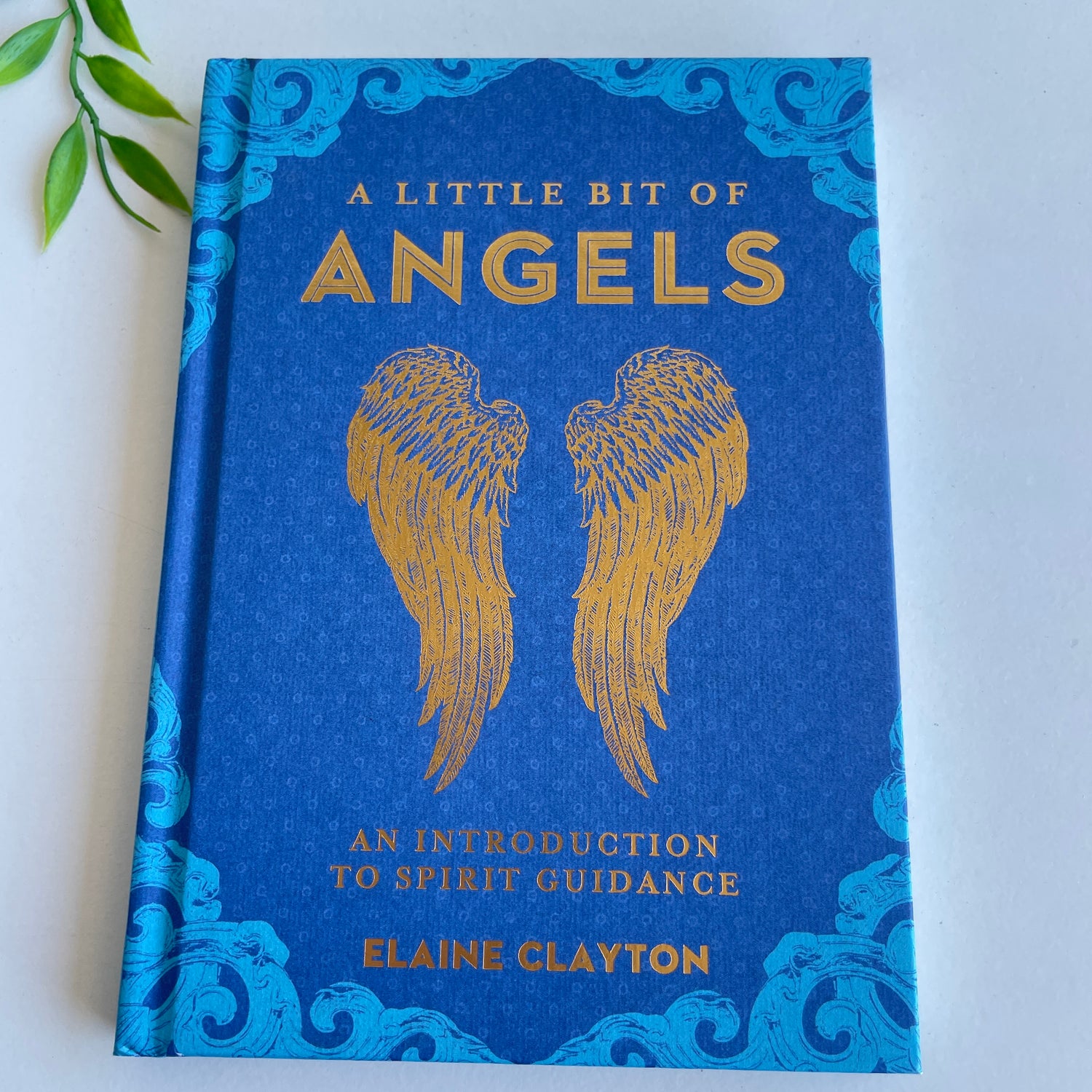 A Little Bit Of Angels Elaine Clayton