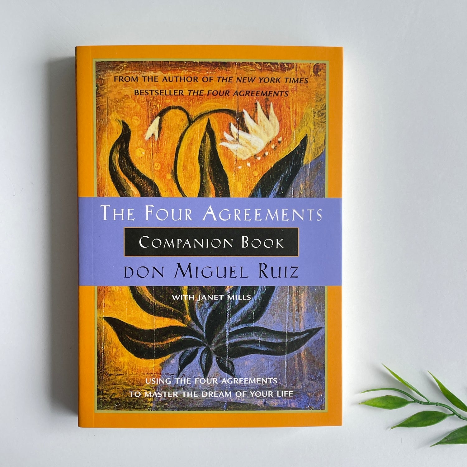 The Four Agreements Companion Book Don Ruiz