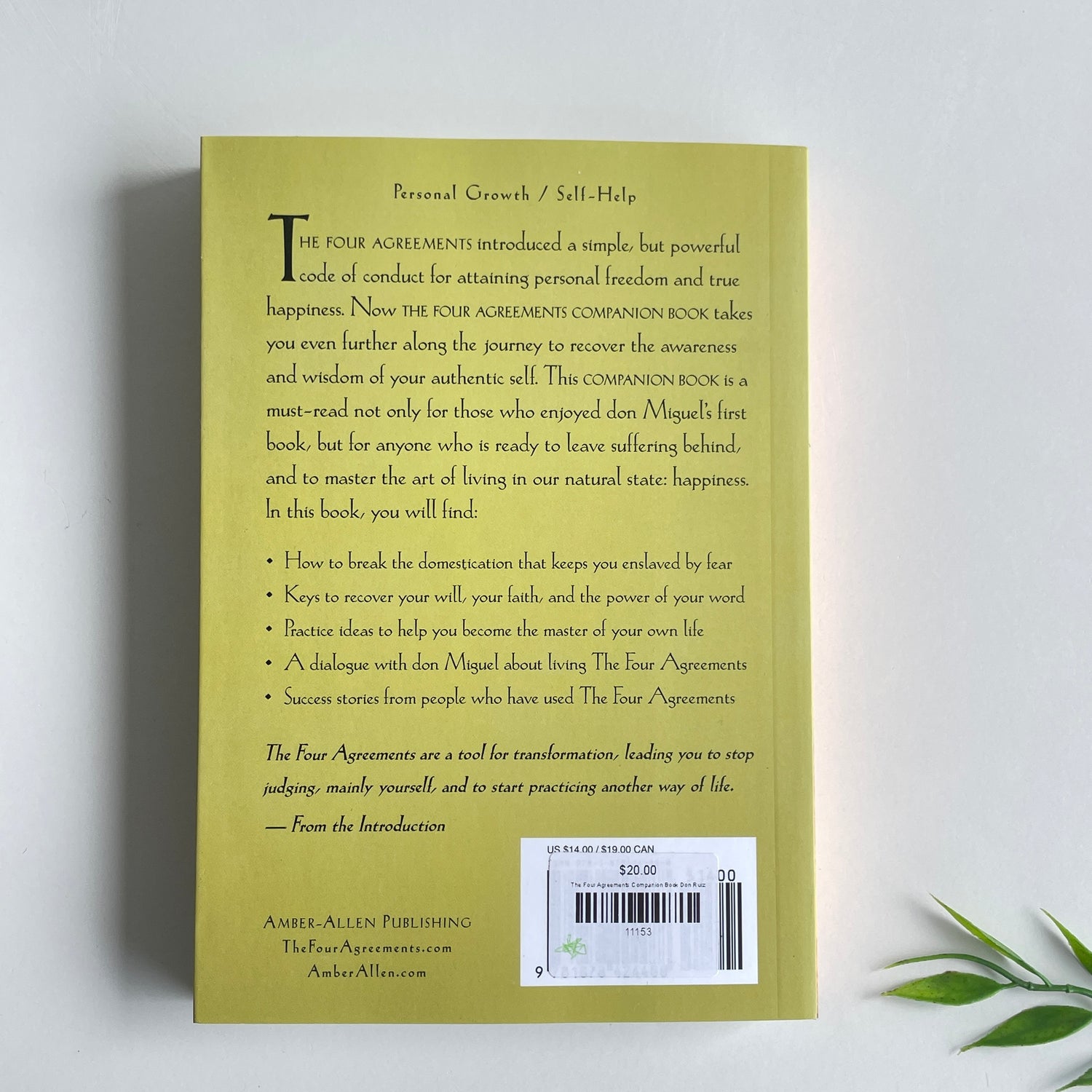 The Four Agreements Companion Book Don Ruiz