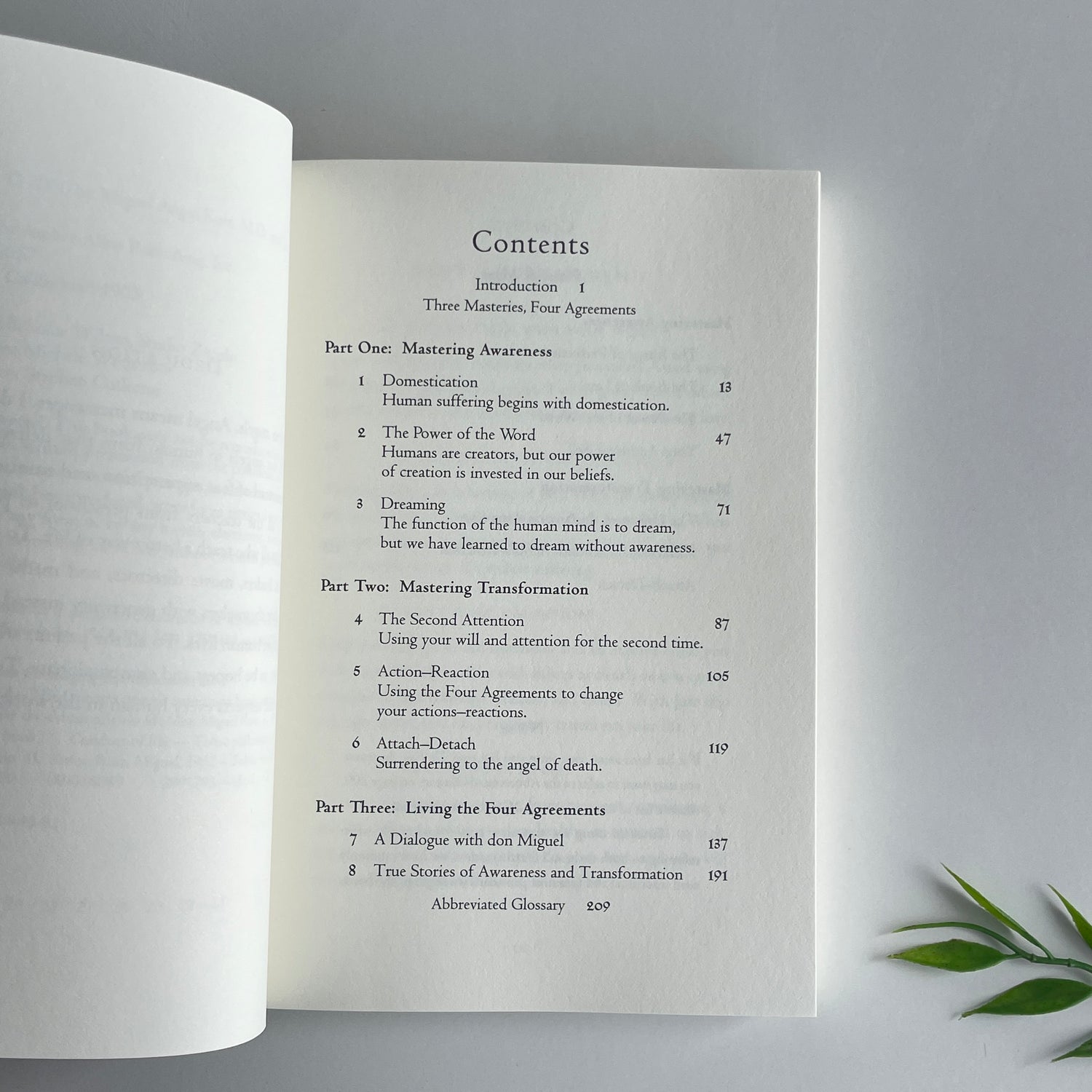 The Four Agreements Companion Book Don Ruiz