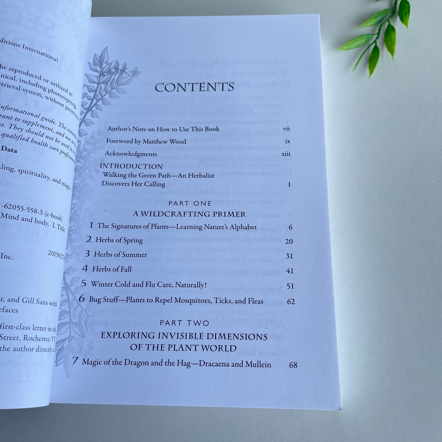 Secret Medicines From Your Garden Ellen Evert Hopman