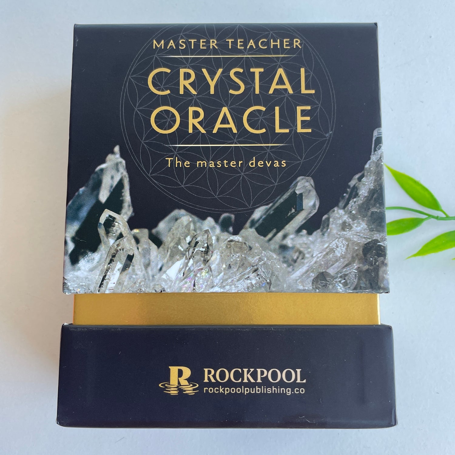 Master Teacher Crystal Oracle Rachelle Charman