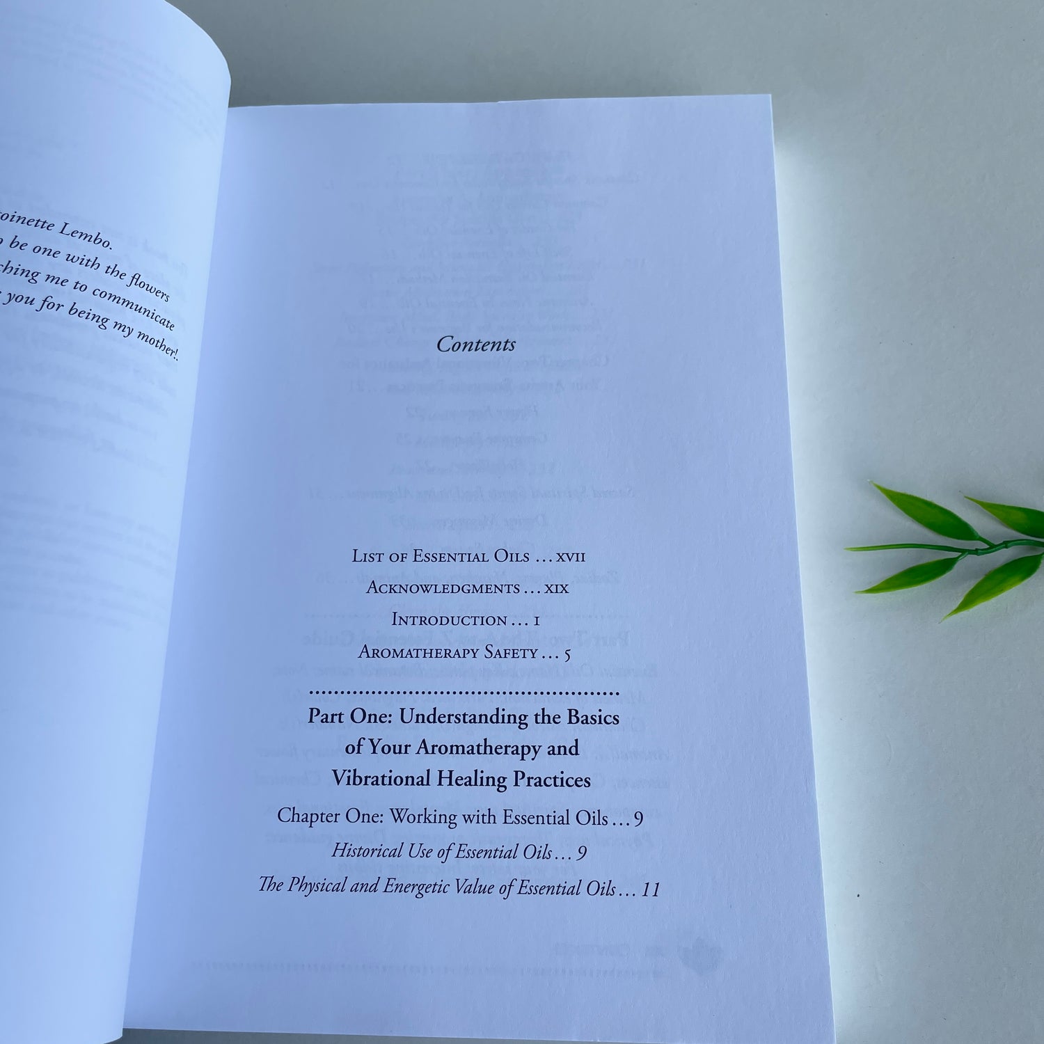 M. Lembo The Essential Guide To Aromatherapy And Vibrational Healing