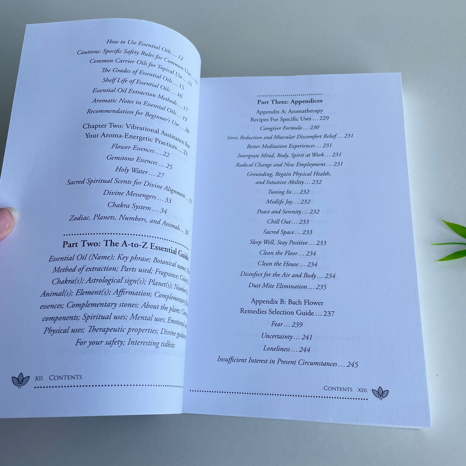 M. Lembo The Essential Guide To Aromatherapy And Vibrational Healing