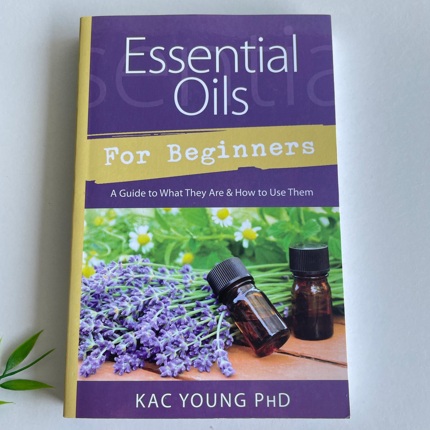 Essential Oils For Beginners Kac Young