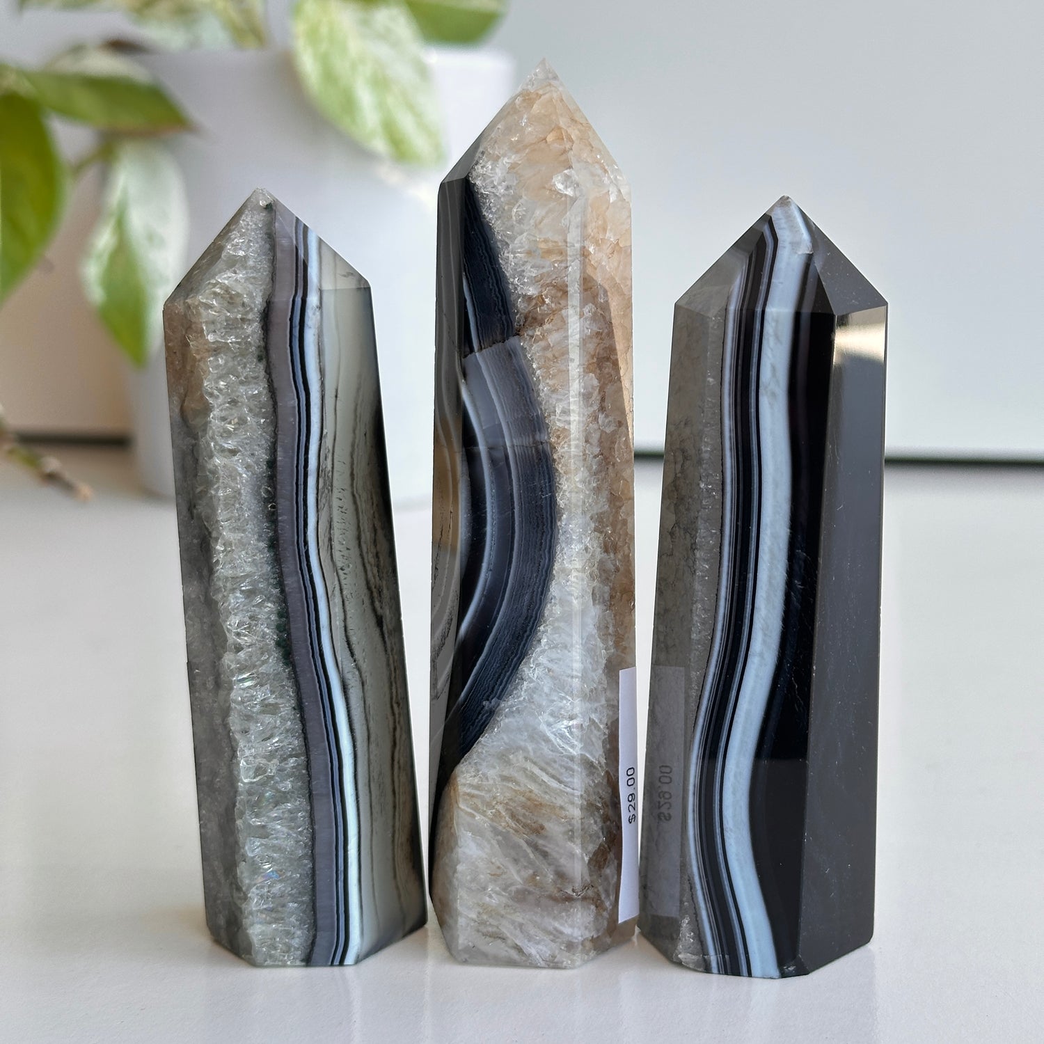 Black Agate Generator Small Large