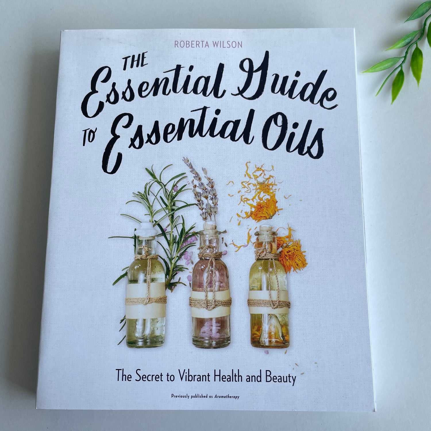 The Essential Guide To Essential Oils Roberta Wilson