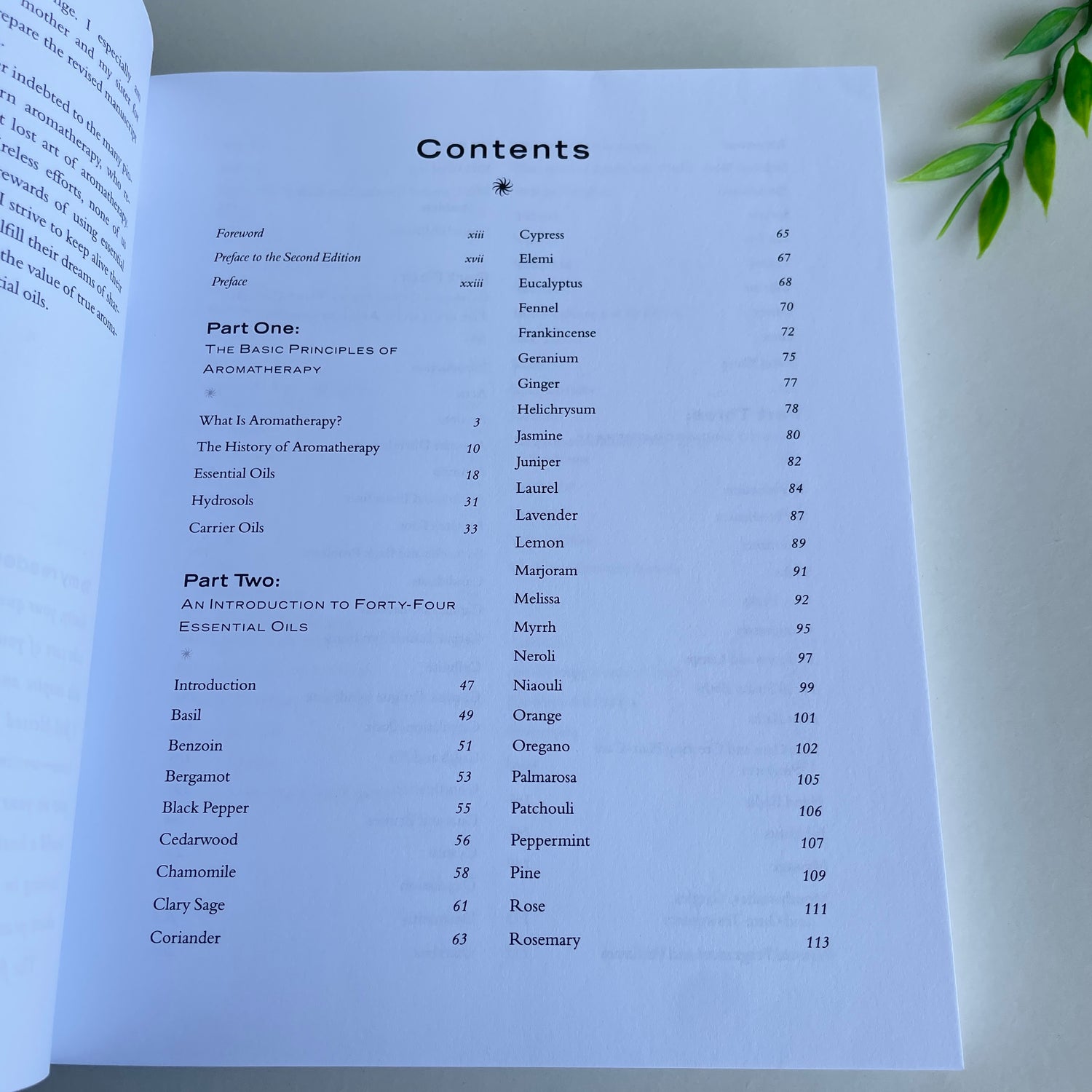 The Essential Guide To Essential Oils Roberta Wilson