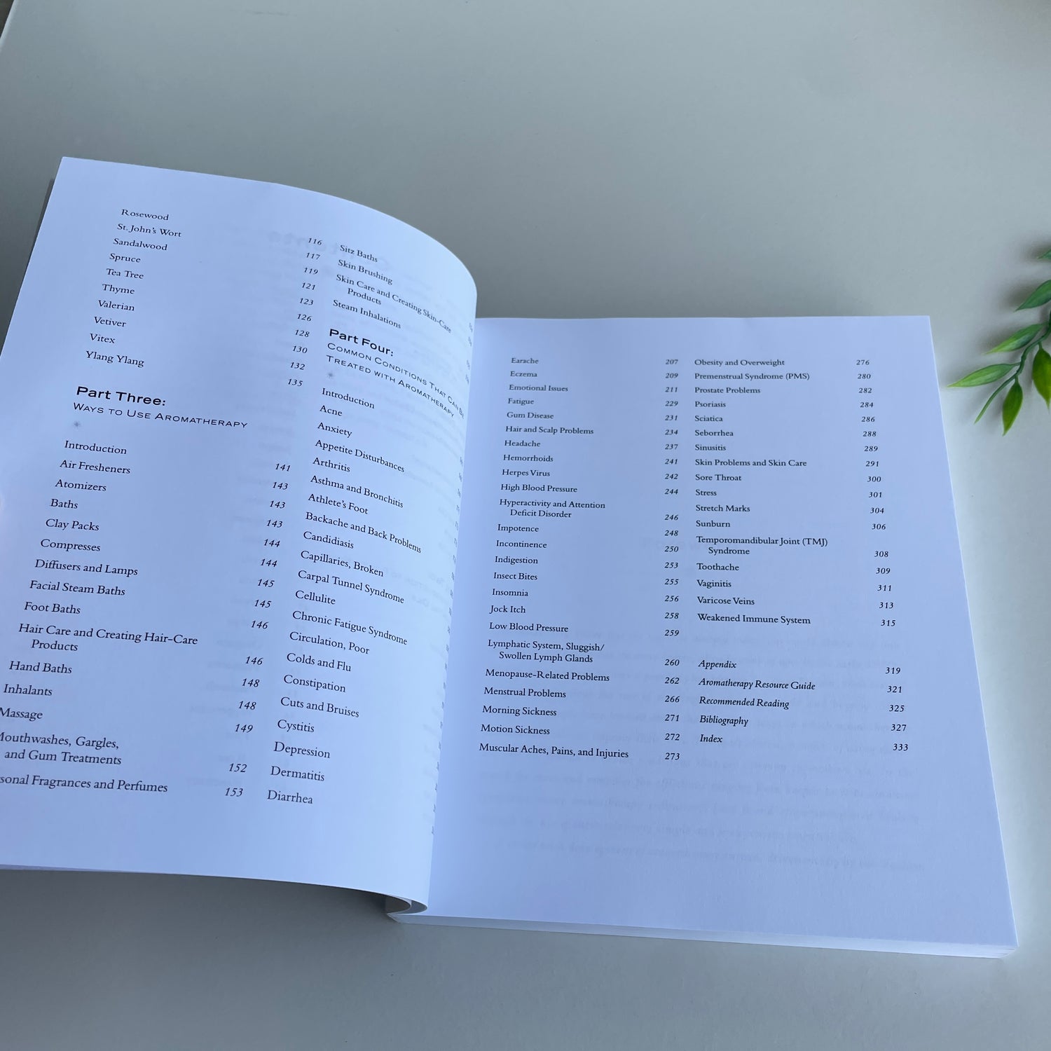 The Essential Guide To Essential Oils Roberta Wilson