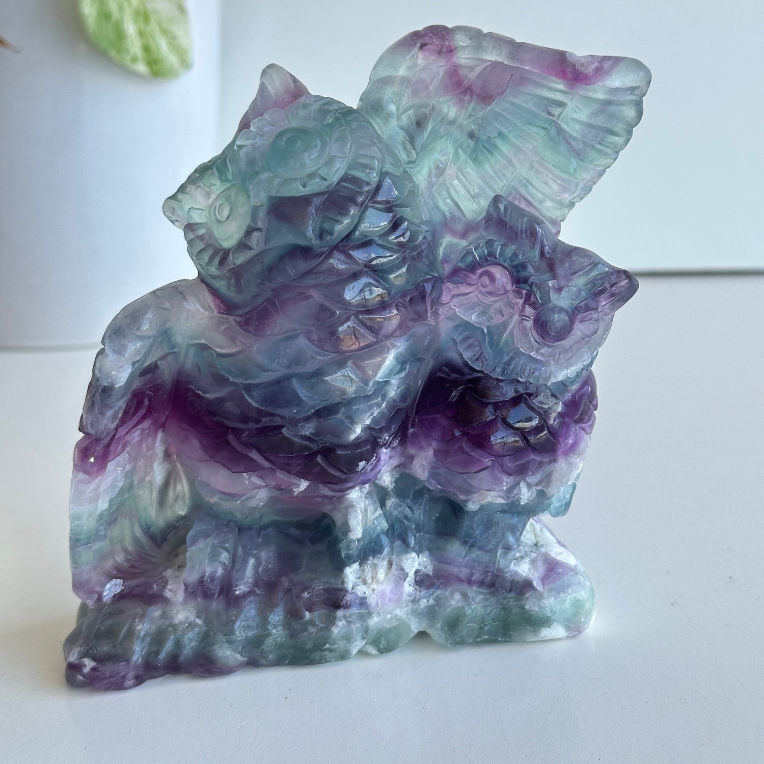 Fluorite Owls