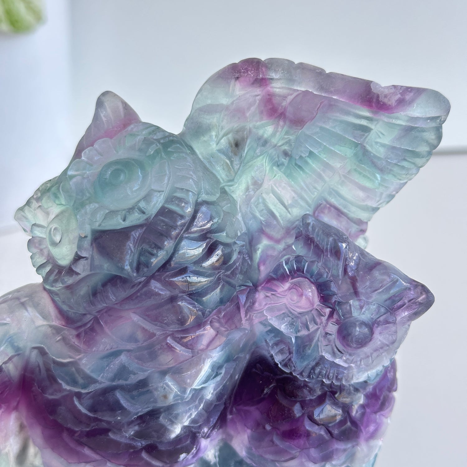 Fluorite Owls