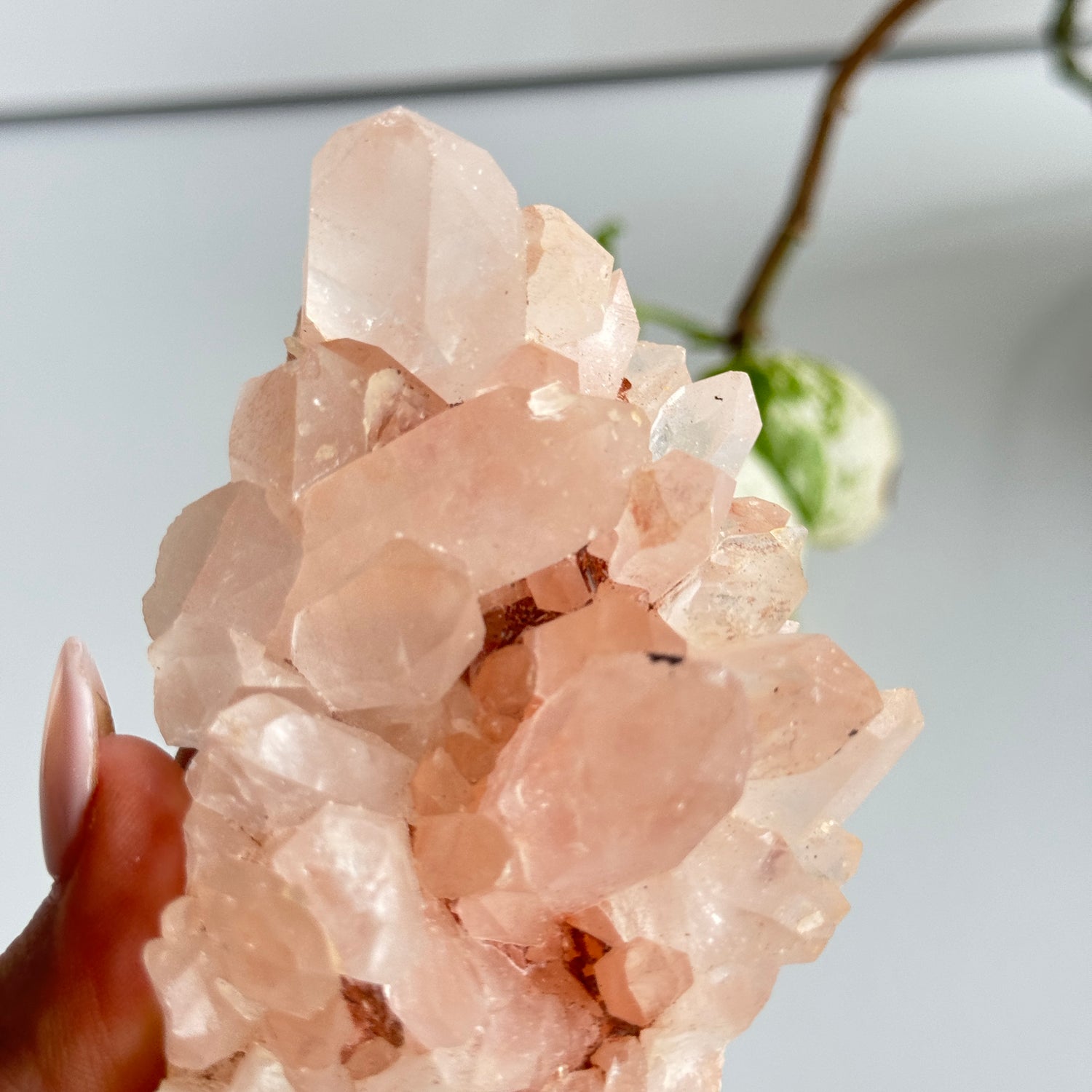 Pink Himalayan Quartz Cluster 206g