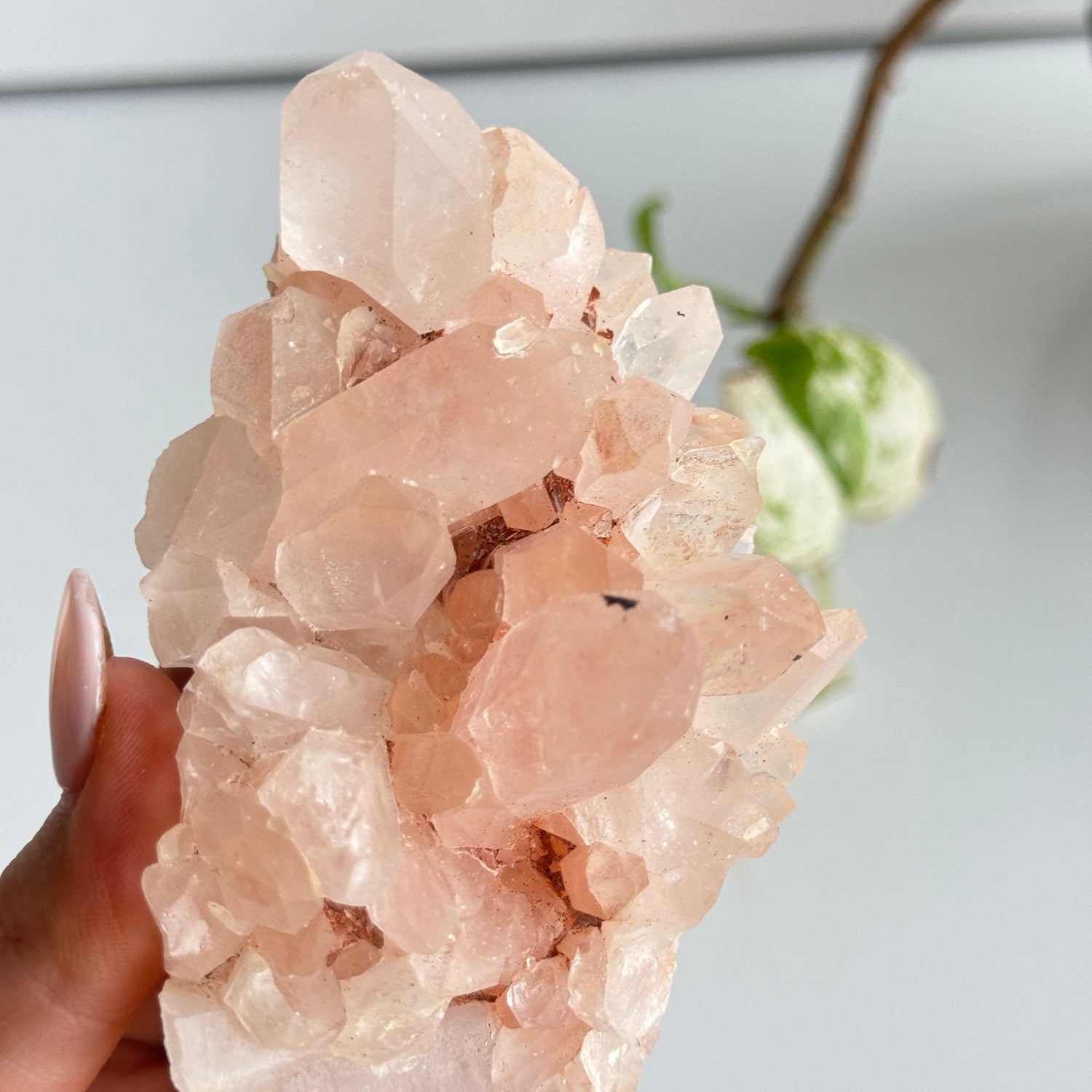 Pink Himalayan Quartz Cluster 206g
