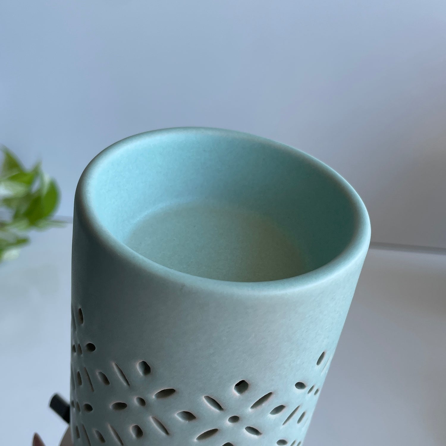Soft Mint Pluggable Wax Warmer