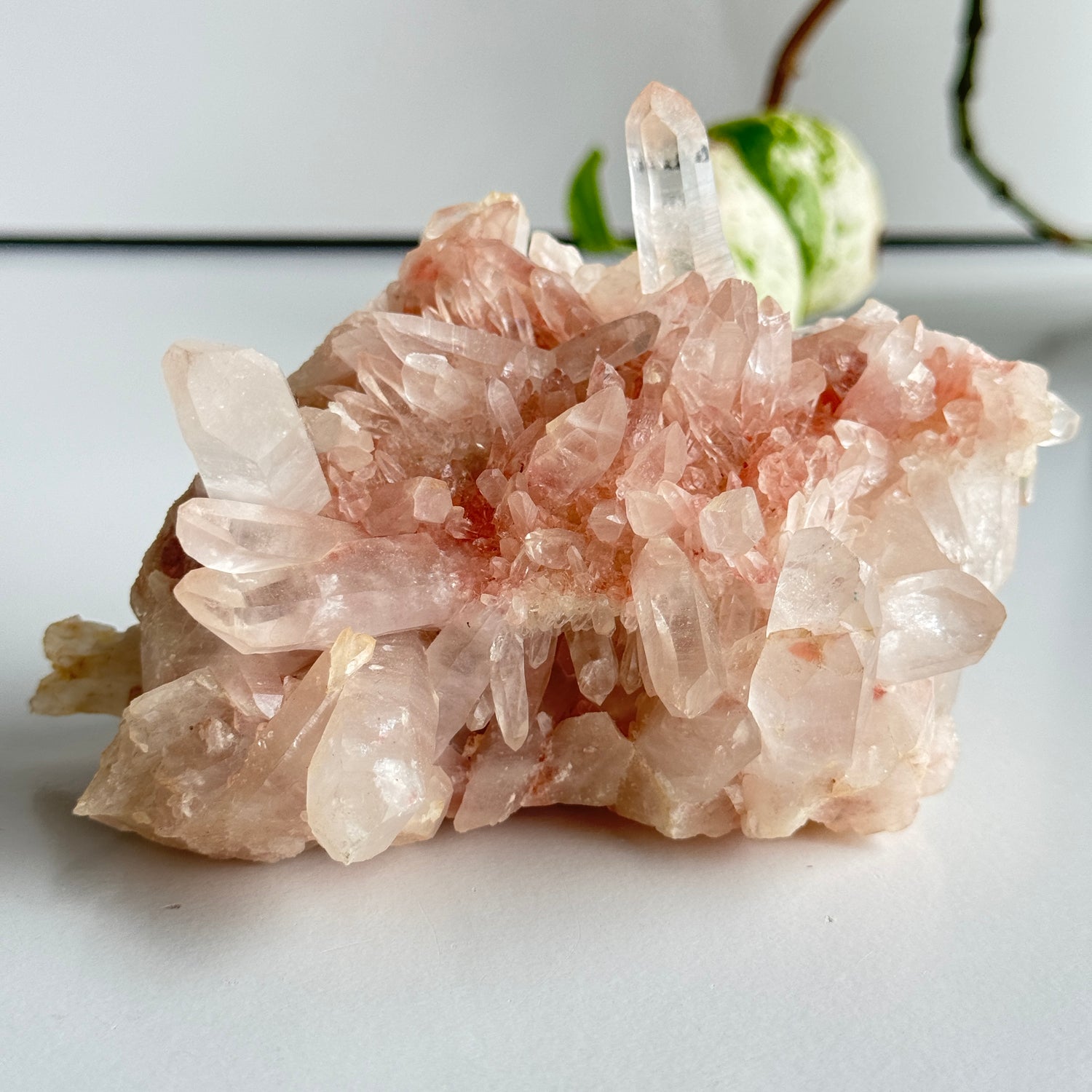 Pink Himalayan Quartz Cluster 470g