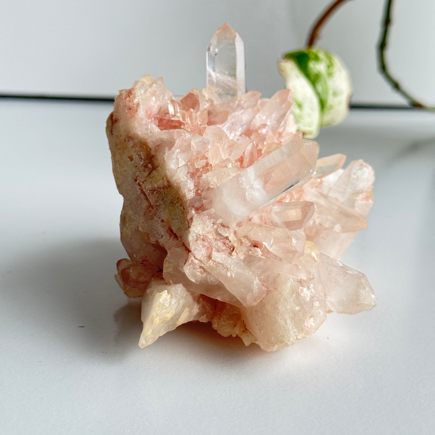 Pink Himalayan Quartz Cluster 470g