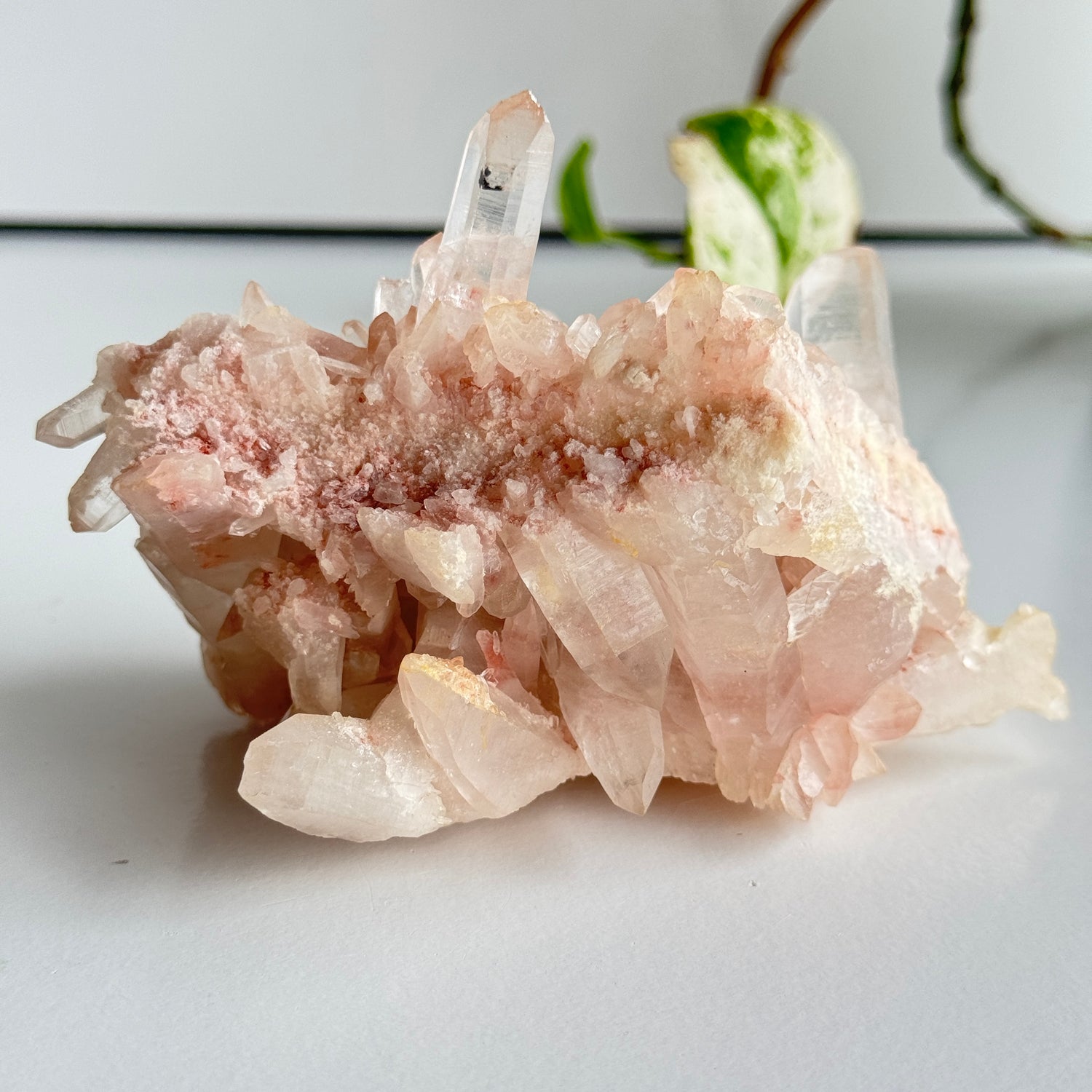 Pink Himalayan Quartz Cluster 470g