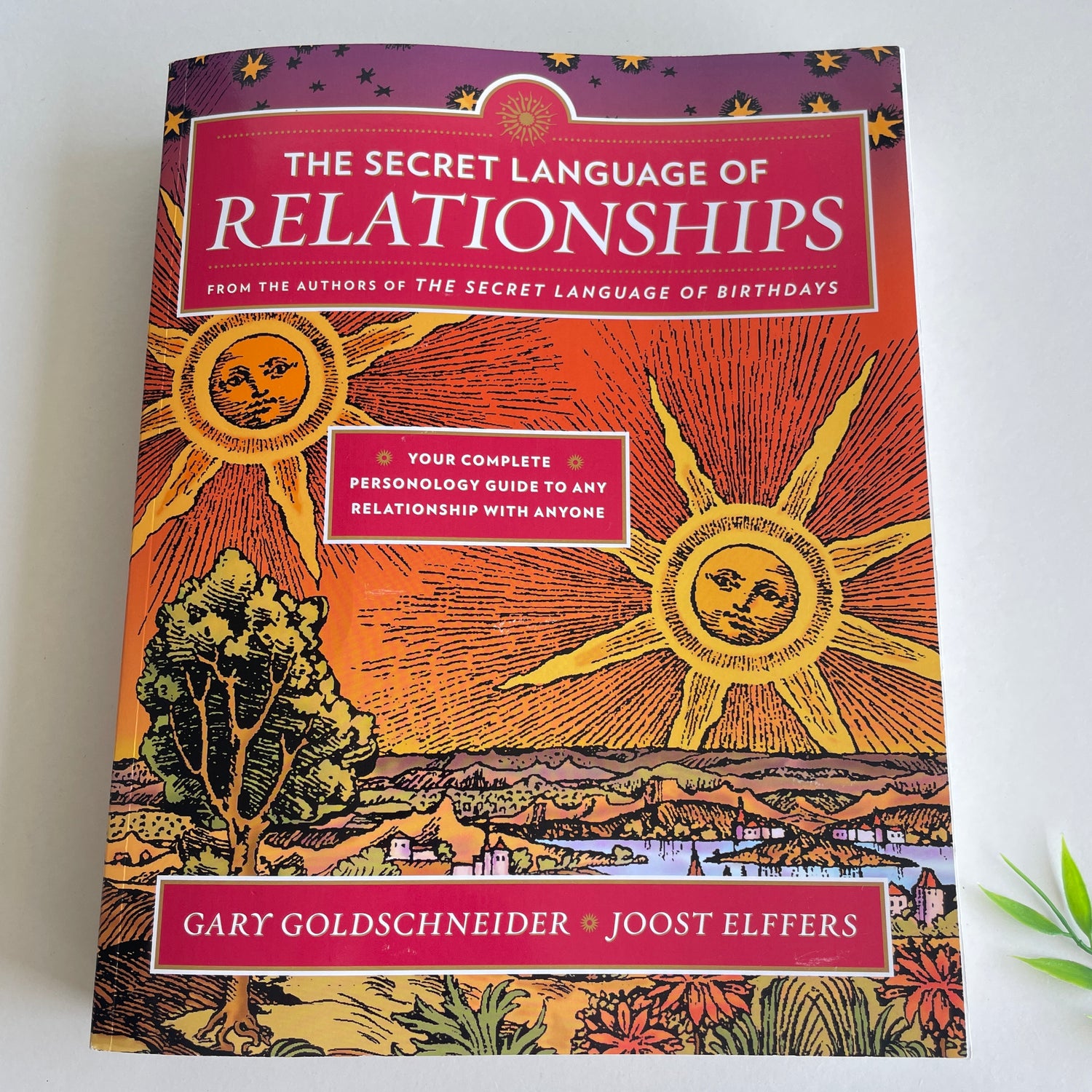 The Secret Language Of Relationships Joost Elffers