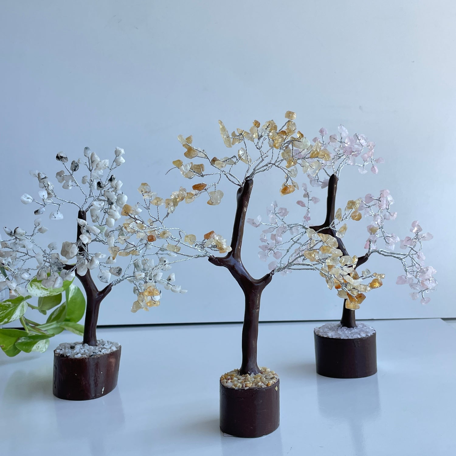 Crystal Tree Medium