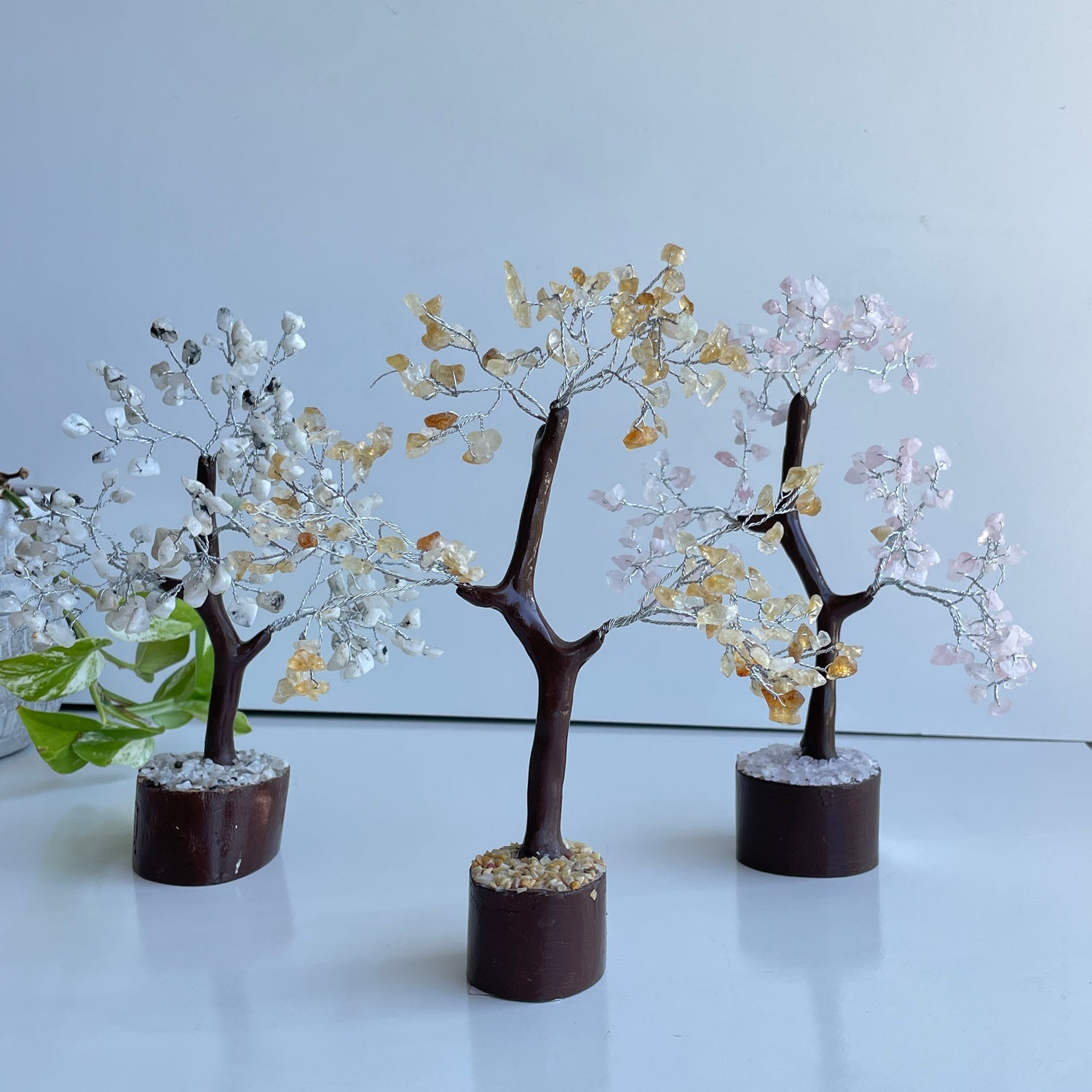 Crystal Tree Medium