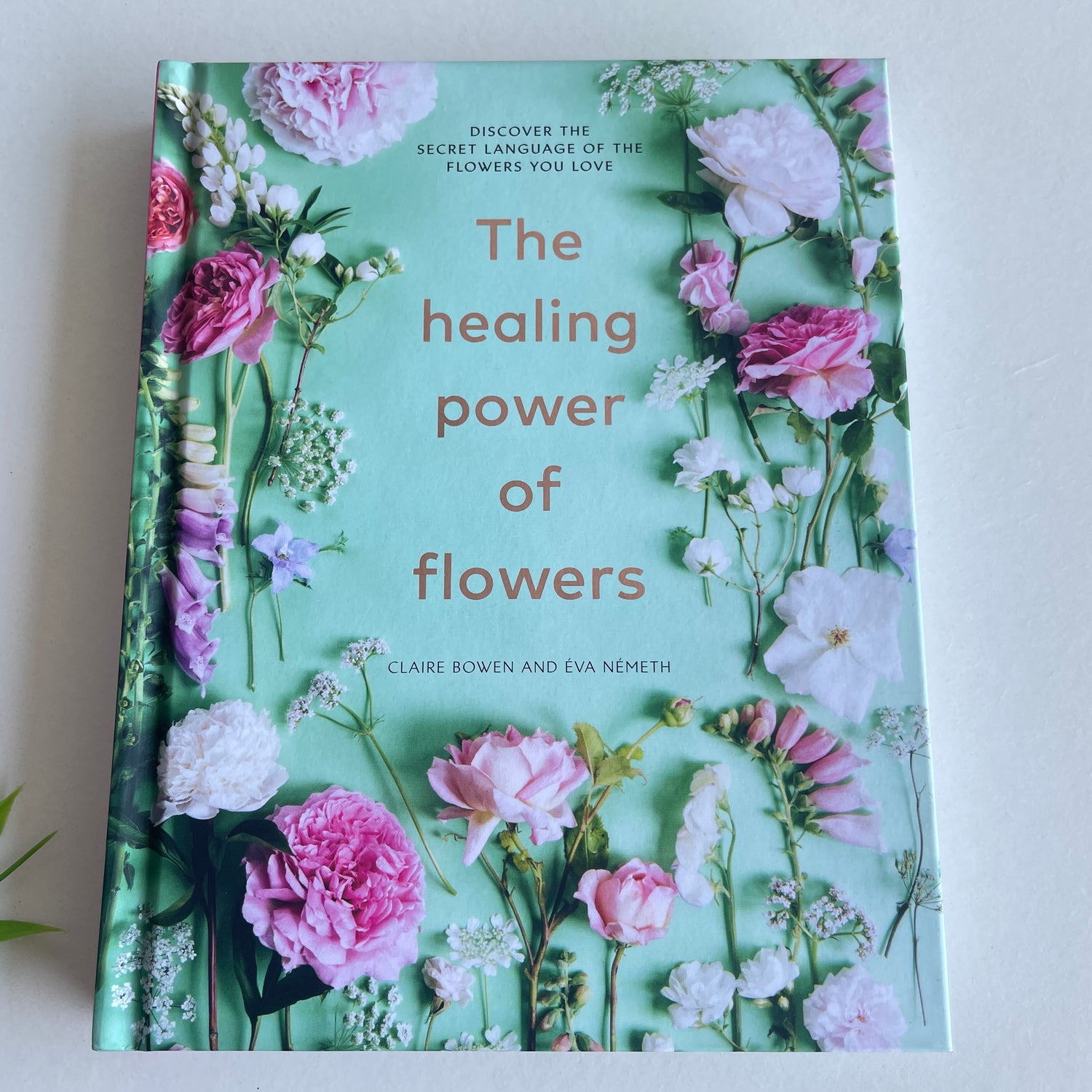 The Healing Power Of Flowers Claire Bowen  Eva Nemeth