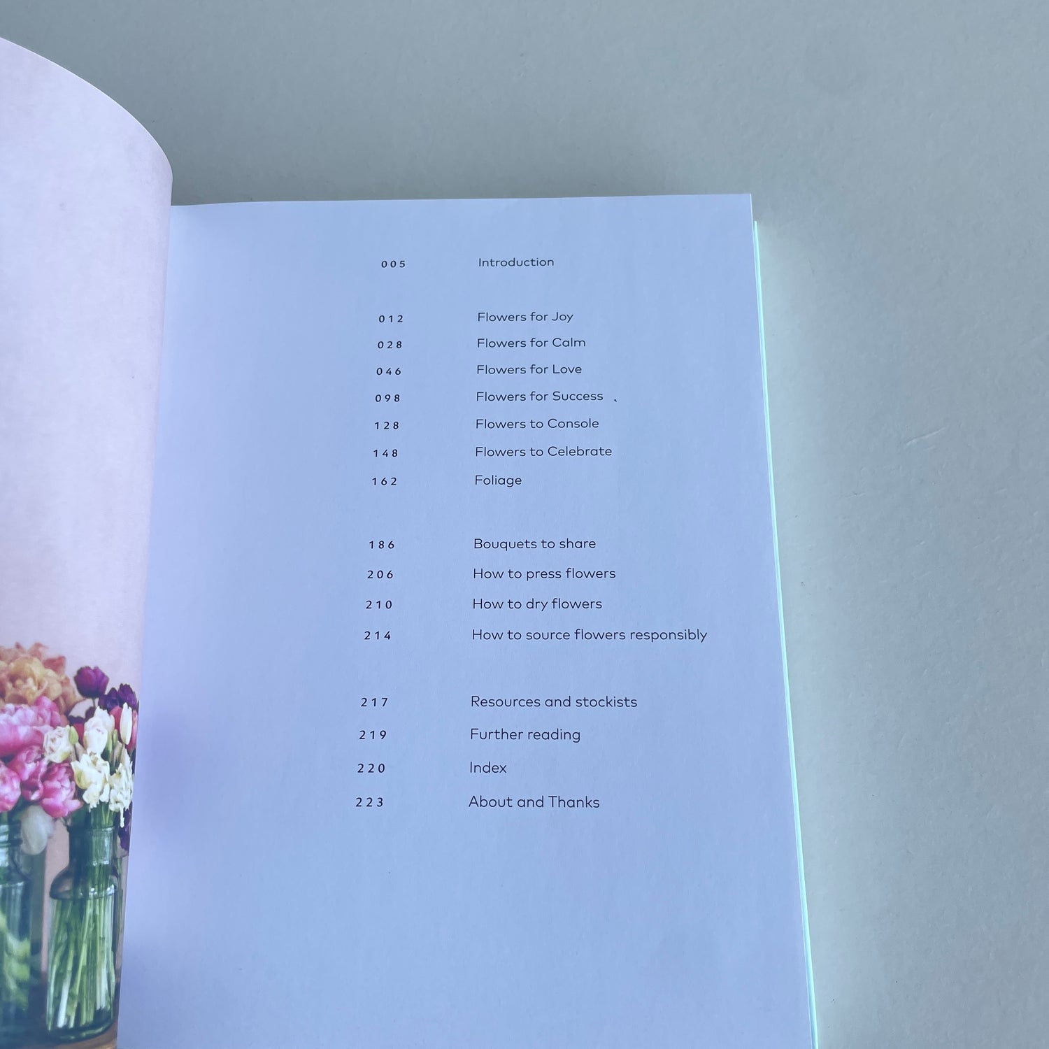 The Healing Power Of Flowers Claire Bowen  Eva Nemeth